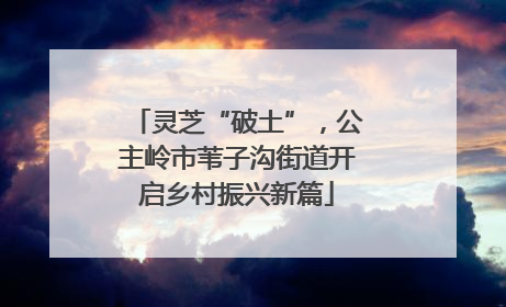 灵芝“破土”，公主岭市苇子沟街道开启乡村振兴新篇