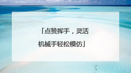 点赞挥手，灵活机械手轻松模仿