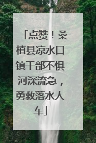 点赞！桑植县凉水口镇干部不惧河深流急，勇救落水人车