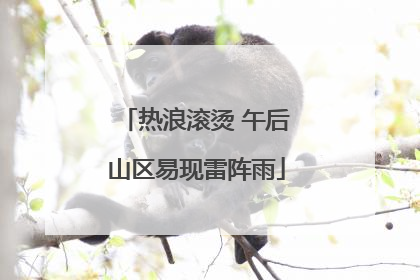 热浪滚烫 午后山区易现雷阵雨