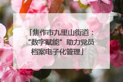 焦作市九里山街道：“数字赋能”助力党员档案电子化管理