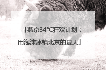 燕京34°C狂欢计划：用泡沫冰镇北京的夏天