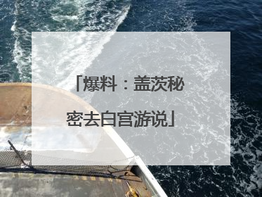 爆料：盖茨秘密去白宫游说