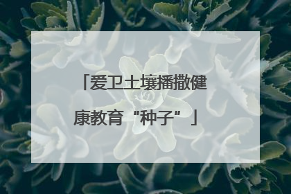 爱卫土壤播撒健康教育“种子”