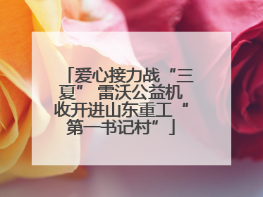 爱心接力战“三夏” 雷沃公益机收开进山东重工“第一书记村”