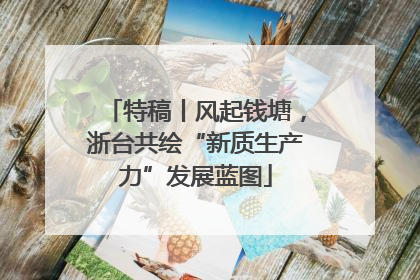 特稿丨风起钱塘，浙台共绘“新质生产力”发展蓝图