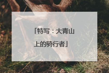 特写：大青山上的骑行者