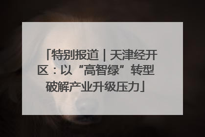 特别报道｜天津经开区：以“高智绿”转型破解产业升级压力