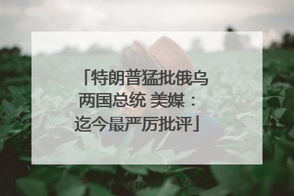 特朗普猛批俄乌两国总统 美媒：迄今最严厉批评