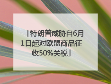 特朗普威胁自6月1日起对欧盟商品征收50%关税