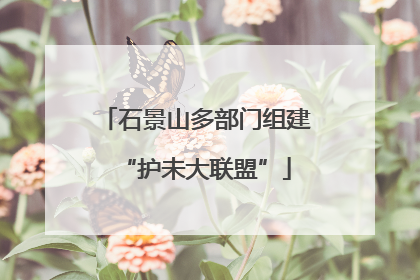 石景山多部门组建“护未大联盟”