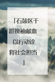 石鼓区干群挽袖献血 以行动诠释社会担当