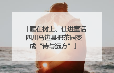 睡在树上、住进童话 四川马边县把茶园变成“诗与远方”