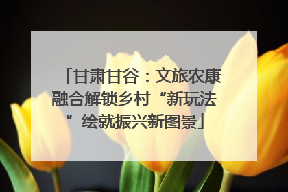 甘肃甘谷：文旅农康融合解锁乡村“新玩法”绘就振兴新图景