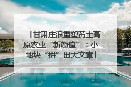 甘肃庄浪重塑黄土高原农业“新颜值”：小地块“拼”出大文章