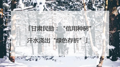 甘肃民勤：“信用种树” 汗水浇出“绿色存折”