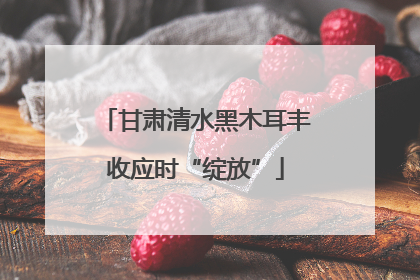 甘肃清水黑木耳丰收应时“绽放”