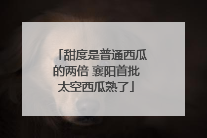 甜度是普通西瓜的两倍 襄阳首批太空西瓜熟了
