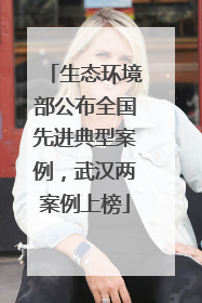 生态环境部公布全国先进典型案例，武汉两案例上榜