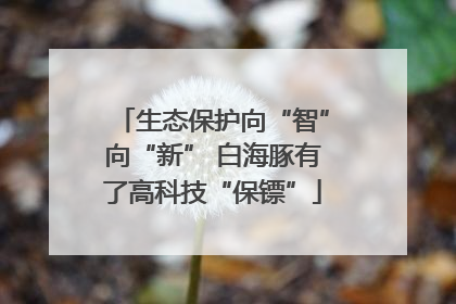 生态保护向“智”向“新” 白海豚有了高科技“保镖”