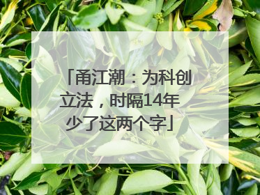 甬江潮：为科创立法，时隔14年少了这两个字