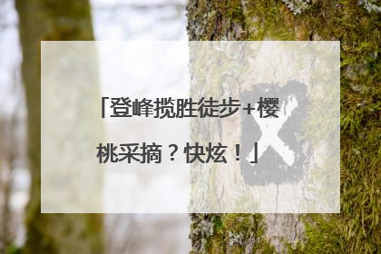 登峰揽胜徒步+樱桃采摘？快炫！