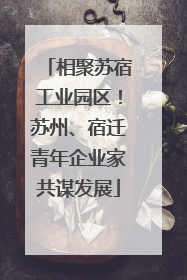 相聚苏宿工业园区！苏州、宿迁青年企业家共谋发展