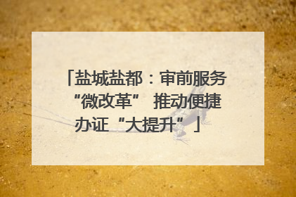 盐城盐都：审前服务“微改革” 推动便捷办证“大提升”