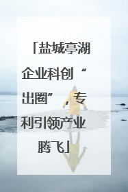 盐城亭湖企业科创“出圈”，专利引领产业腾飞