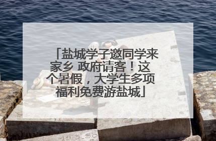 盐城学子邀同学来家乡 政府请客！这个暑假，大学生多项福利免费游盐城