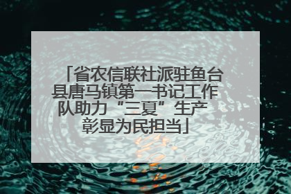 省农信联社派驻鱼台县唐马镇第一书记工作队助力“三夏”生产 彰显为民担当