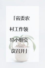 省委农村工作领导小组会议召开