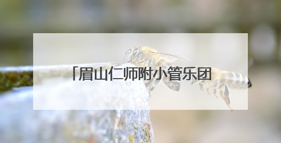 眉山仁师附小管乐团：以乐铸魂奏响“四好少年”成长乐章