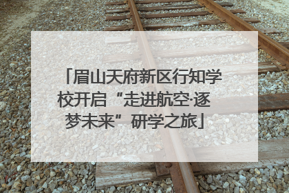 眉山天府新区行知学校开启“走进航空·逐梦未来”研学之旅