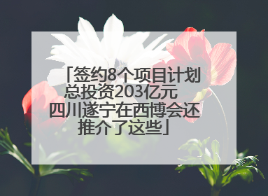 签约8个项目计划总投资203亿元 四川遂宁在西博会还推介了这些