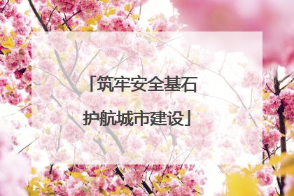 筑牢安全基石 护航城市建设