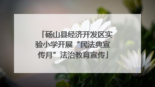 砀山县经济开发区实验小学开展“民法典宣传月”法治教育宣传