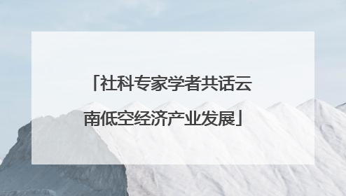 社科专家学者共话云南低空经济产业发展