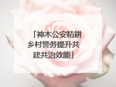 神木公安精耕乡村警务提升共建共治效能