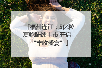 福州连江：5亿粒夏鲍陆续上市 开启“丰收盛宴”