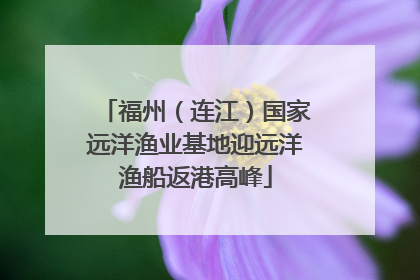 福州（连江）国家远洋渔业基地迎远洋渔船返港高峰