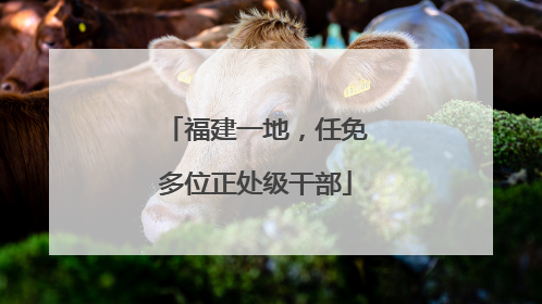 福建一地，任免多位正处级干部