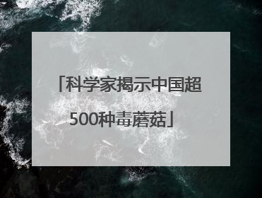 科学家揭示中国超500种毒蘑菇