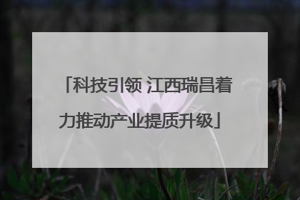 科技引领 江西瑞昌着力推动产业提质升级