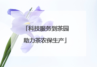 科技服务到茶园 助力茶农保生产