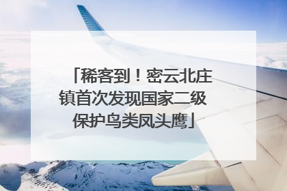 稀客到！密云北庄镇首次发现国家二级保护鸟类凤头鹰