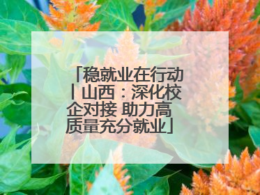 稳就业在行动丨山西：深化校企对接 助力高质量充分就业