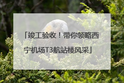 竣工验收！带你领略西宁机场T3航站楼风采