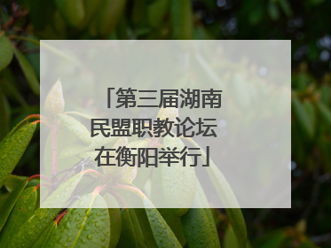 第三届湖南民盟职教论坛在衡阳举行