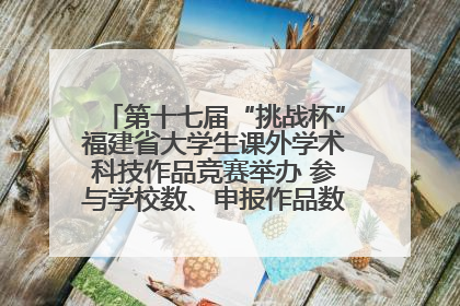 第十七届“挑战杯”福建省大学生课外学术科技作品竞赛举办 参与学校数、申报作品数创历史新高
